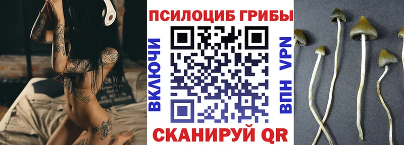 Галлюциногенные грибы Psilocybine cubensis  Гусиноозёрск 