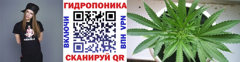 Марихуана Amnesia  Гусиноозёрск 